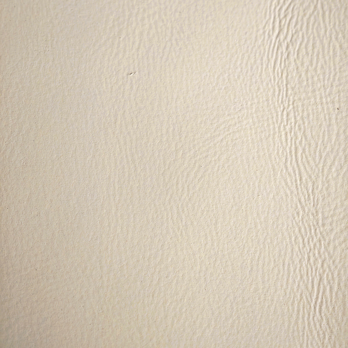Beige Leather