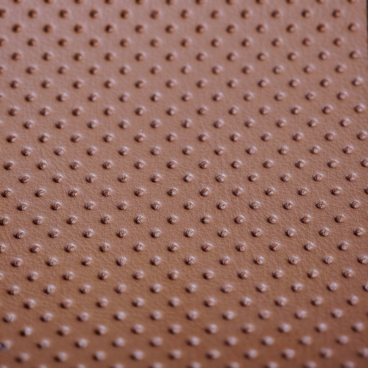 Brown Perforated Leather