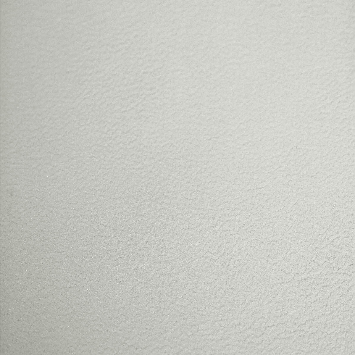 Light Grey Leather