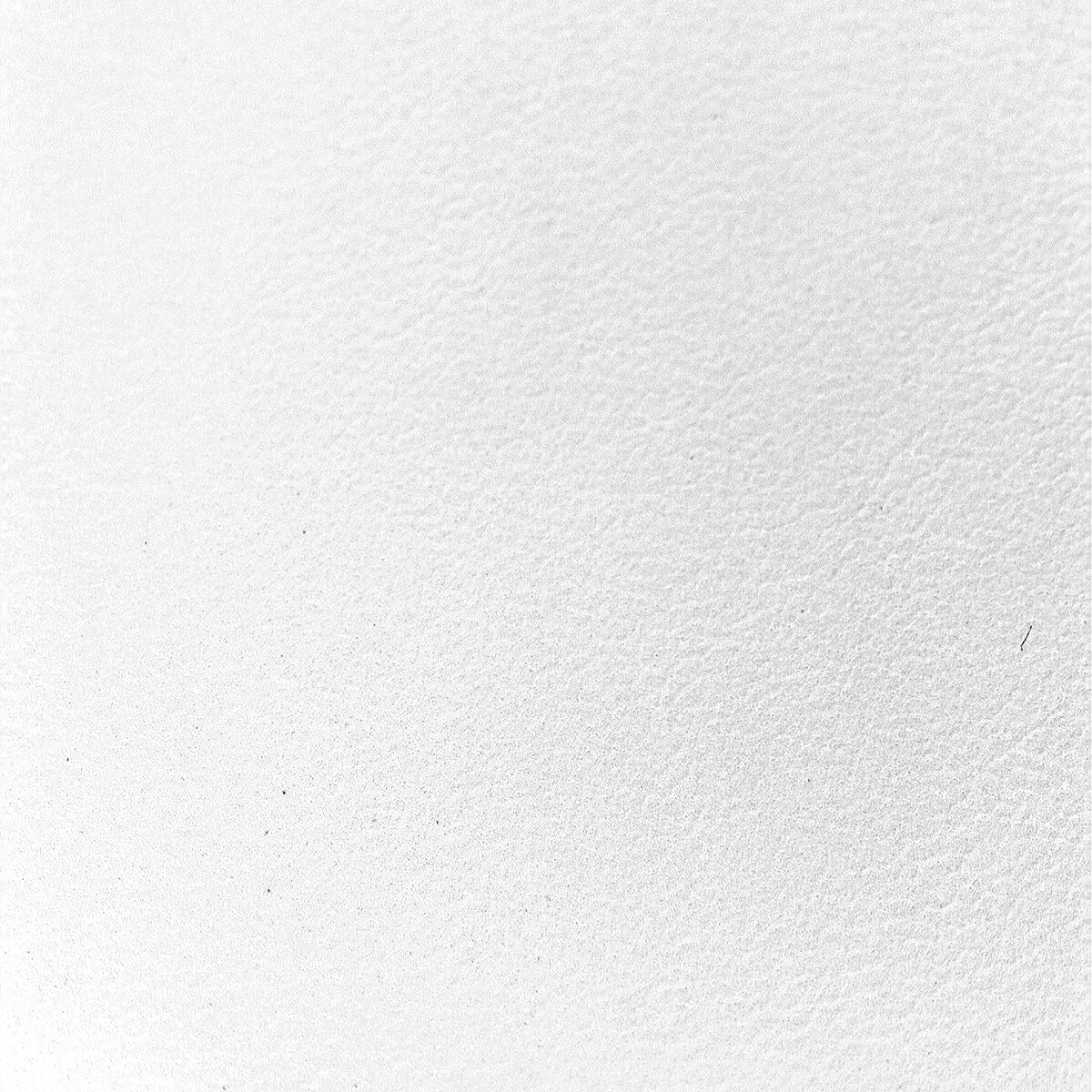 White Leather